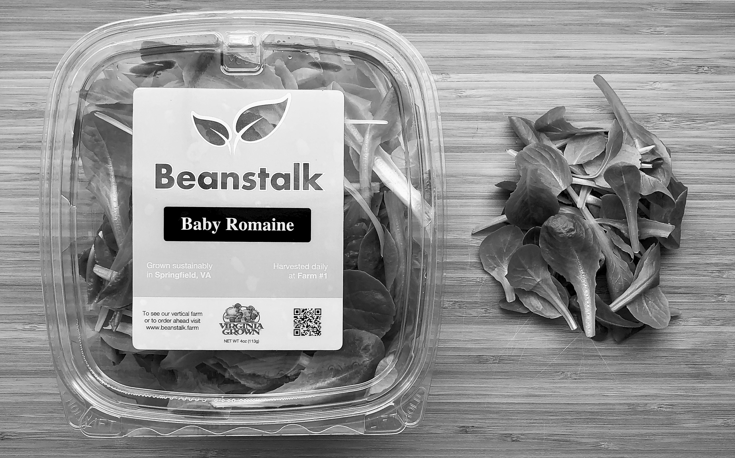 Beanstalk