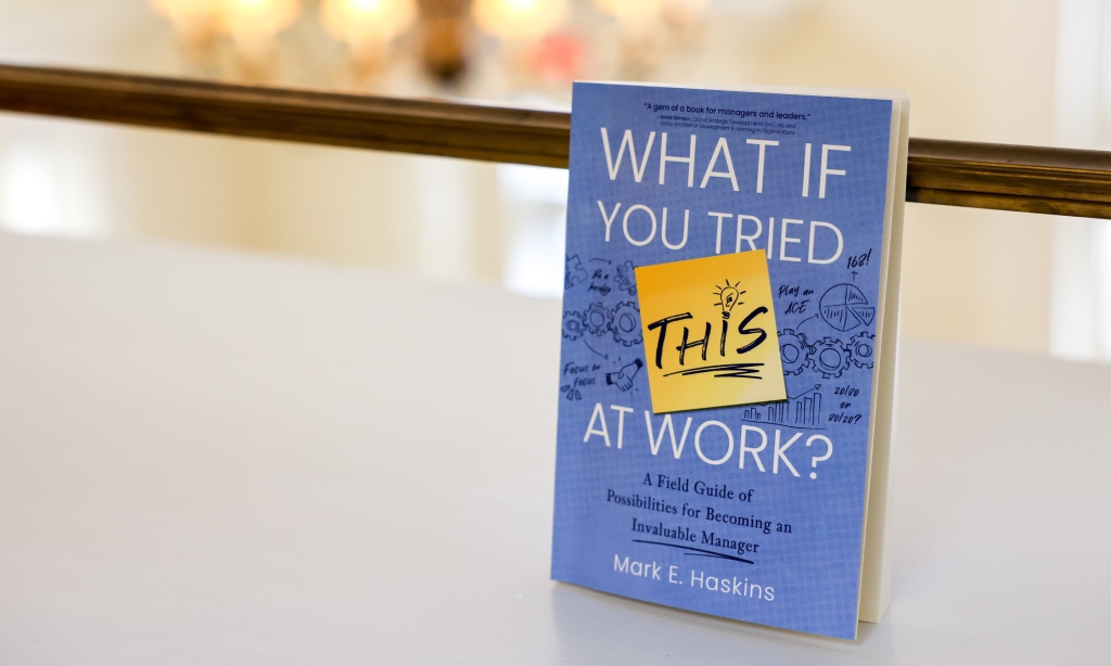 Book cover "What If You Tried This At Work?"