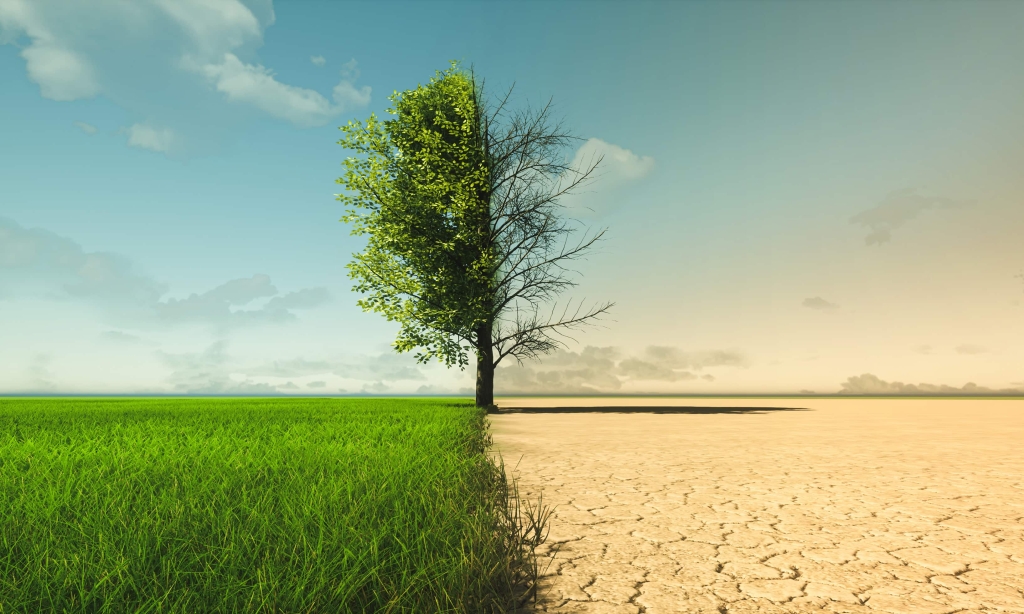 Image depicting the effects of drought and heat