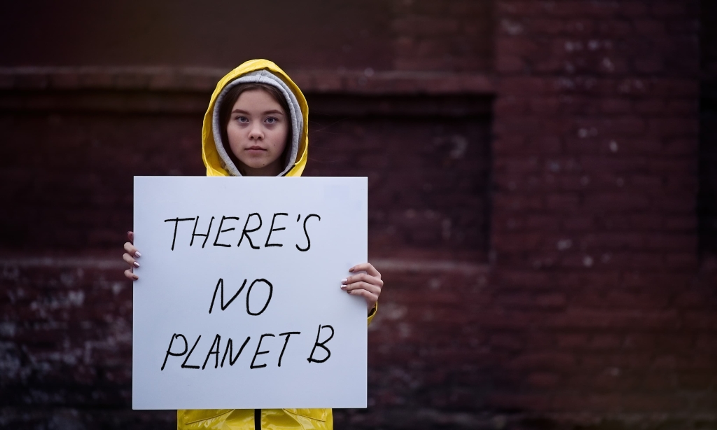 Person holding a climate sign