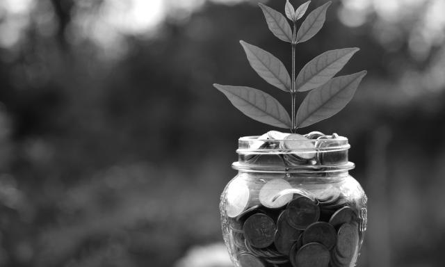 Responsible Investing