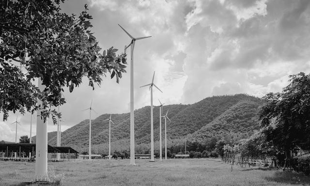 fight climate change