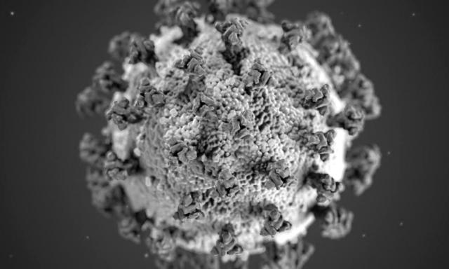 coronavirus