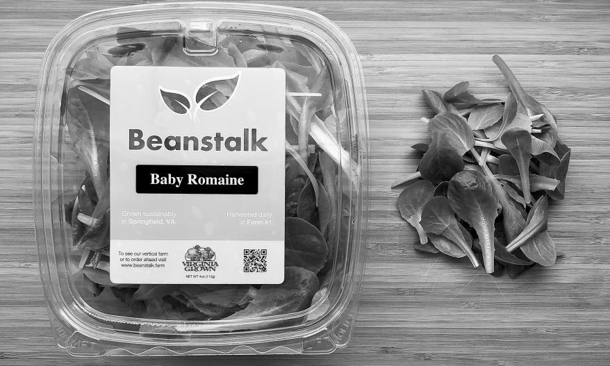 Newswise: Reimagining Agriculture: A Q&A with Beanstalk Farm